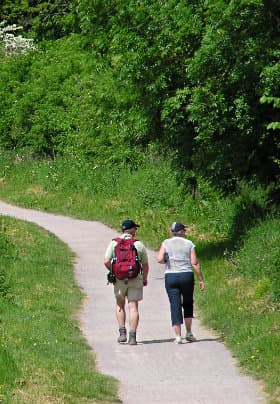 Two people walk along a winding path surrounded by lush greenery.