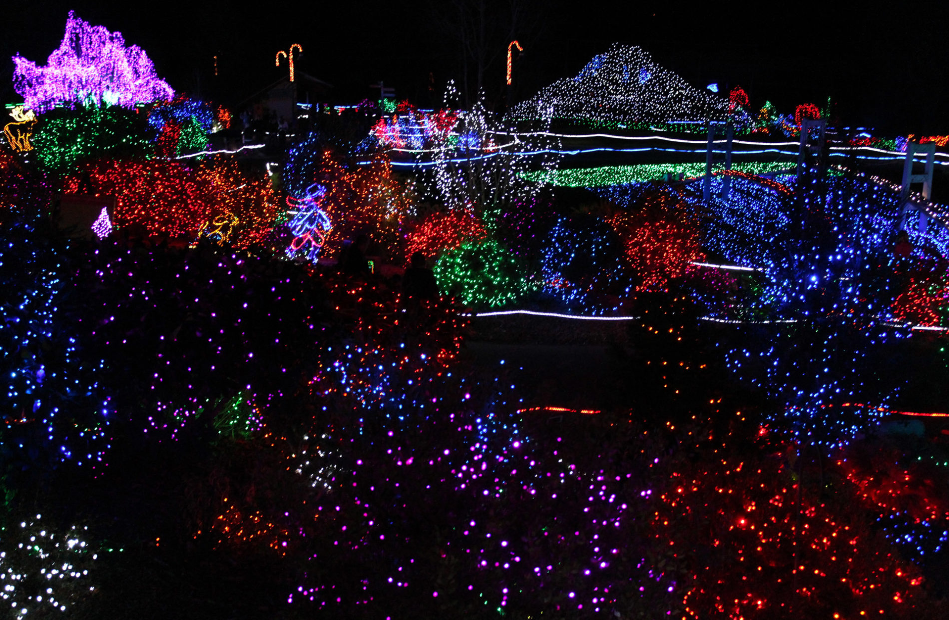 hundreds of colorful twinkling holiday lights and displays