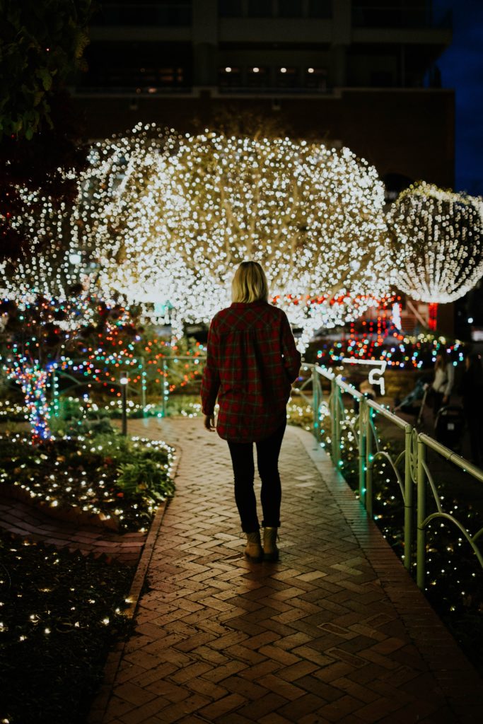 Person walking down a path lined with christmas lights and displays