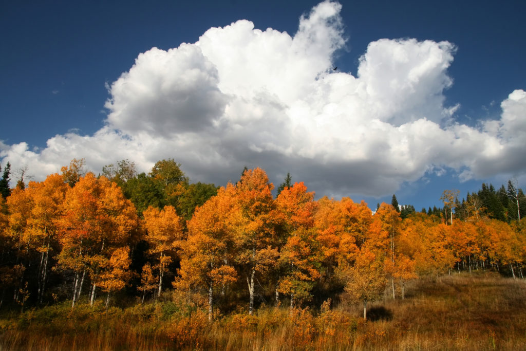 High Mountain Flat in the fall showing all the fall colors with mountains in the background