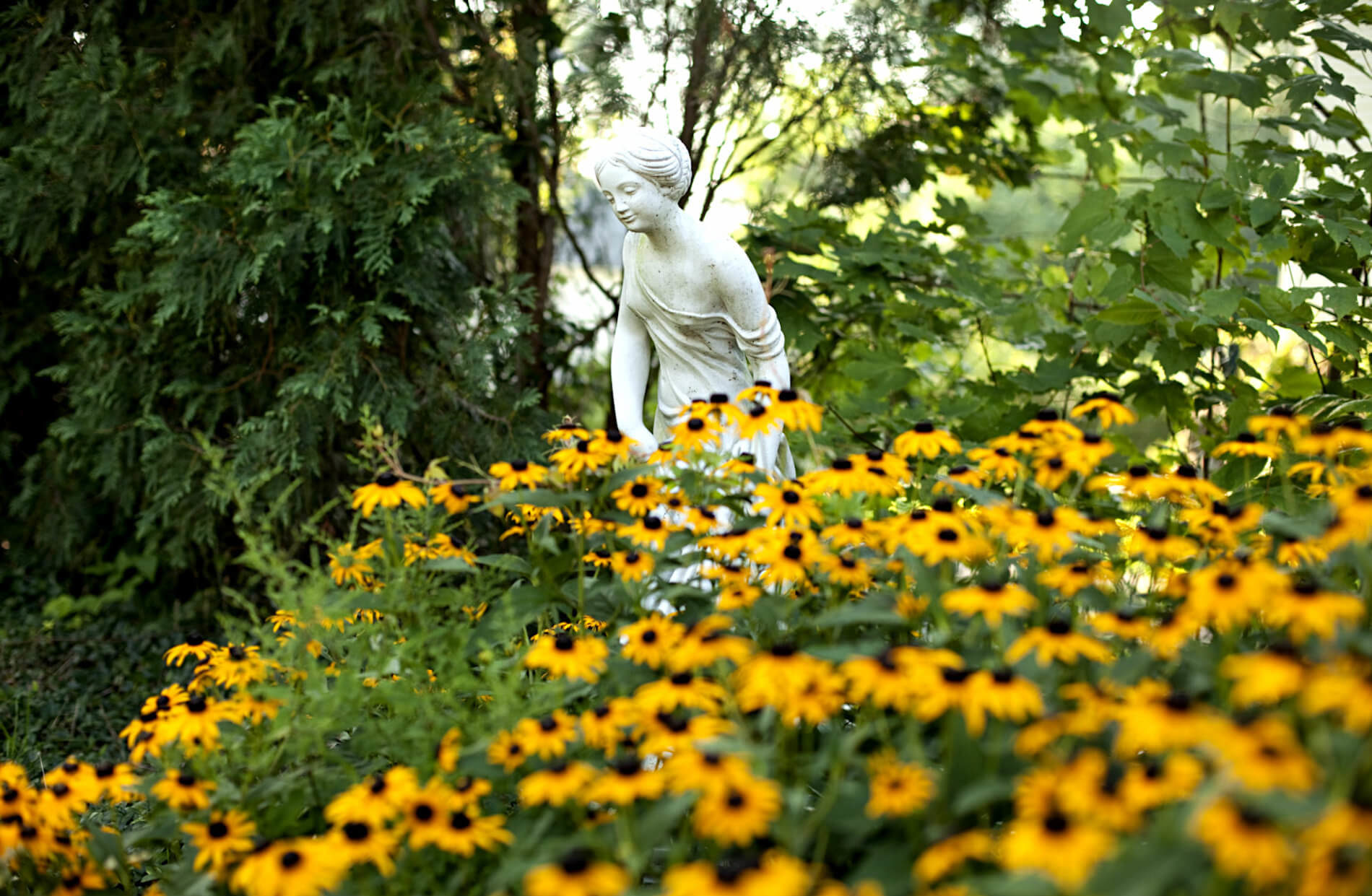 White marble statue of a lady surrounded by yellow flowers