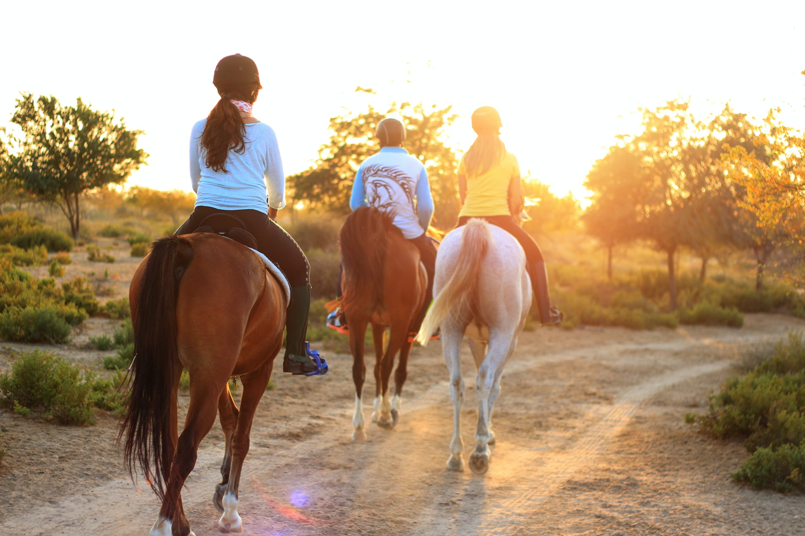 Three horses and their riders follow a trail at sunset.