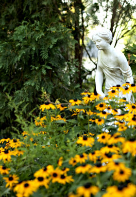 White dtatue of graceful woman in patch of yellow black-eyed susans