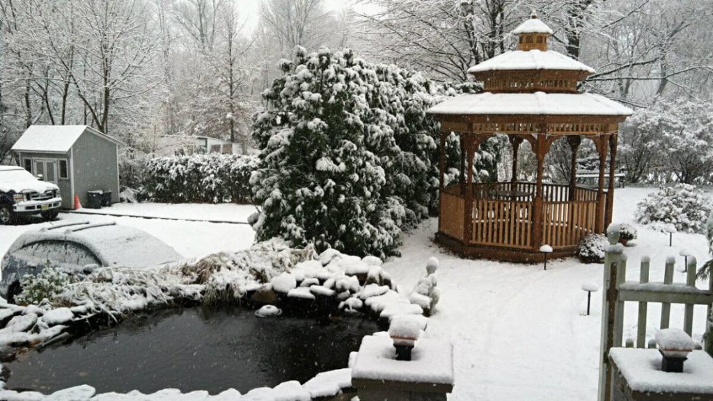 Pond and gazebo surrounded by snow covered ground and trees