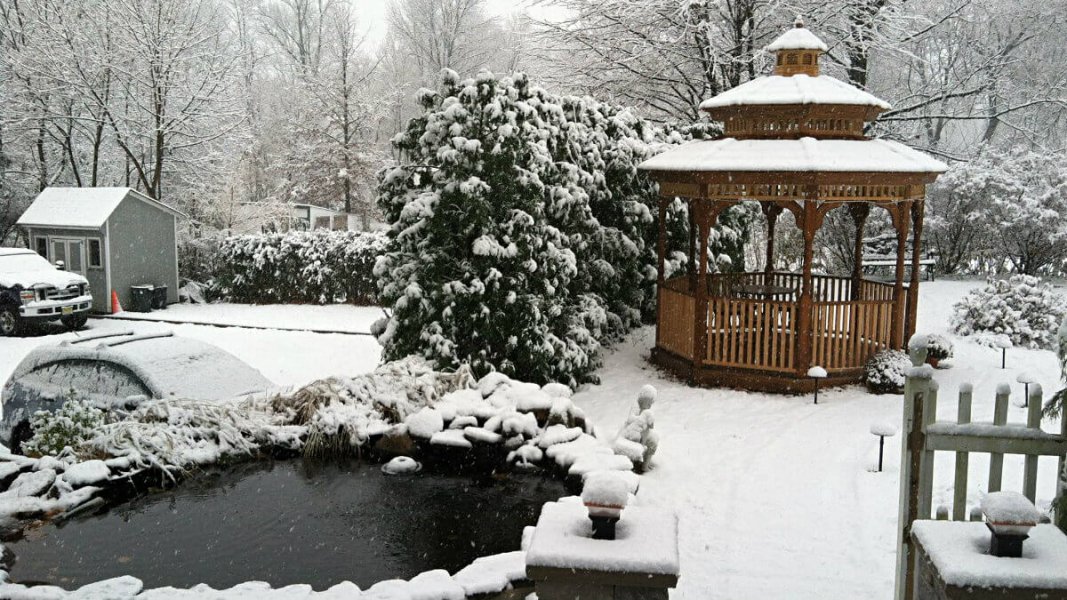 Picture of the garden with snow.