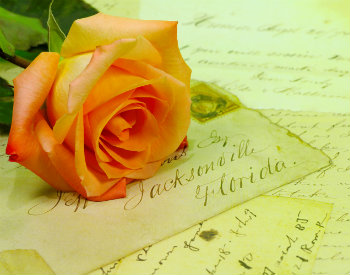 Peach rose lying on antique letters